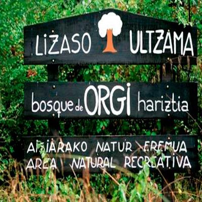 camping-aralar-excursiones_bosqueorgi01